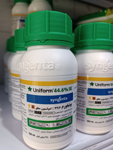 سم قارچکش یونیفورم ۴۴/۶٪ سینجنتا