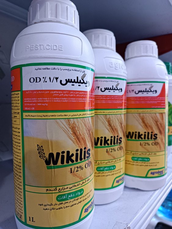 علفکش دو منظوره گندم آتلانتیس ترک