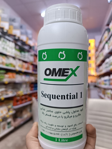 سکنشوال وان امکس انگلستان