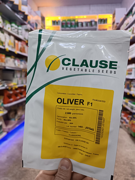 بذر خیار الیور کلوز