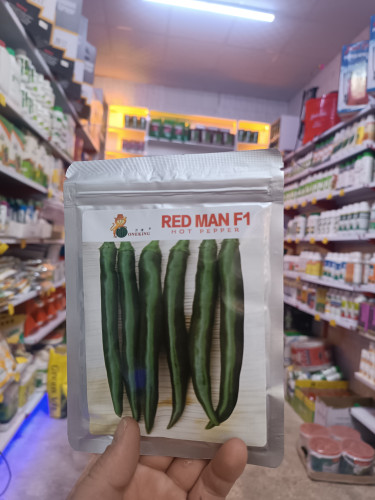 بذر فلفل شیرین رد من هیبرید