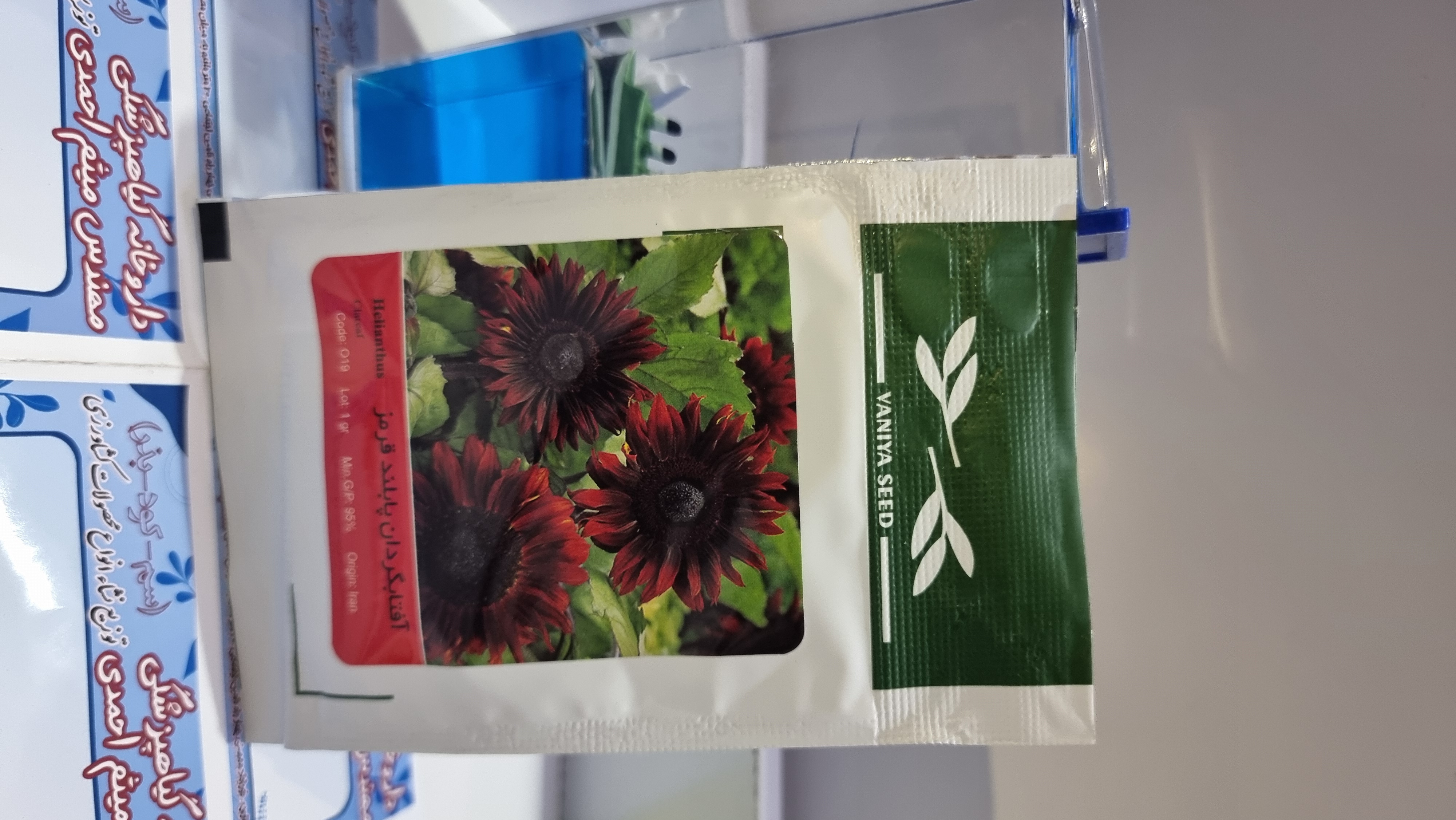 آفتاب گردان پابلند قرمز