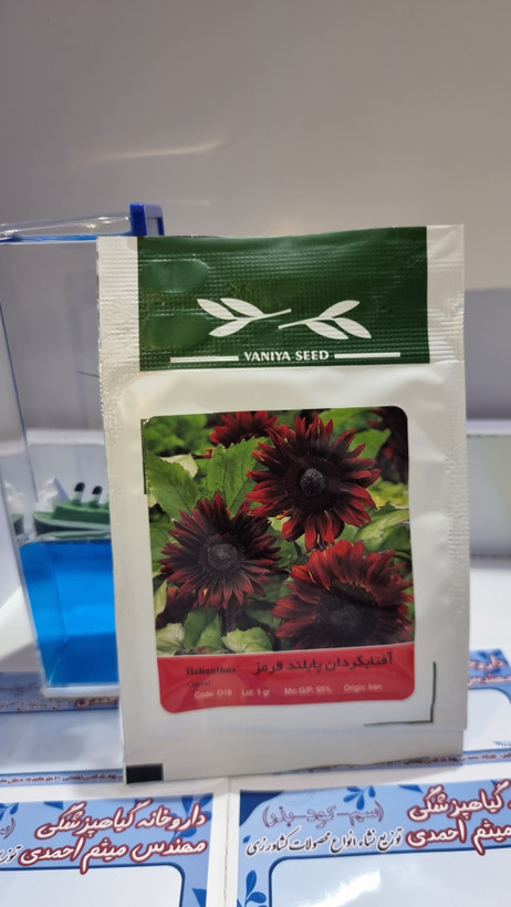 آفتاب گردان پابلند قرمز