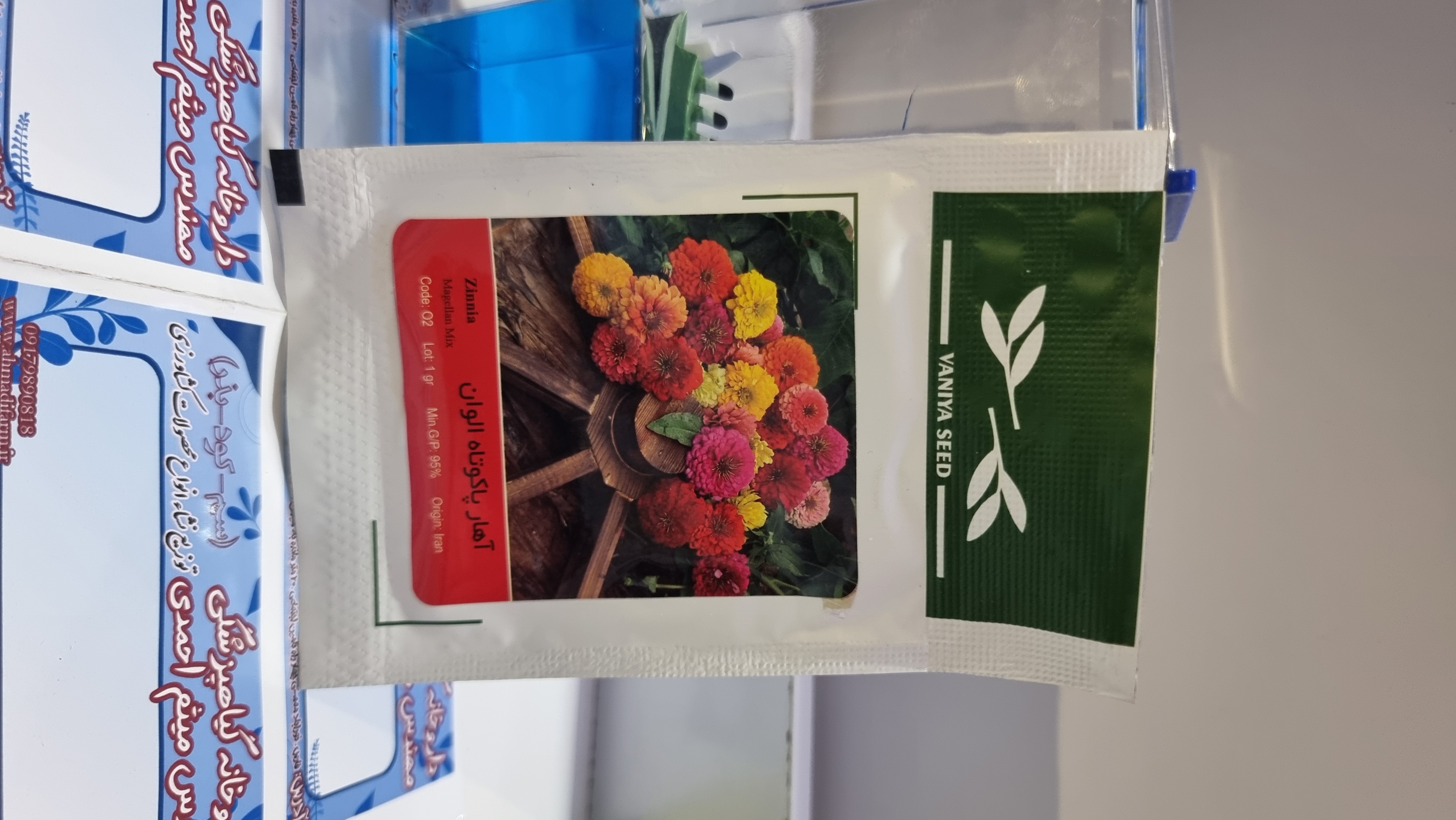 آهار پا کوتاه