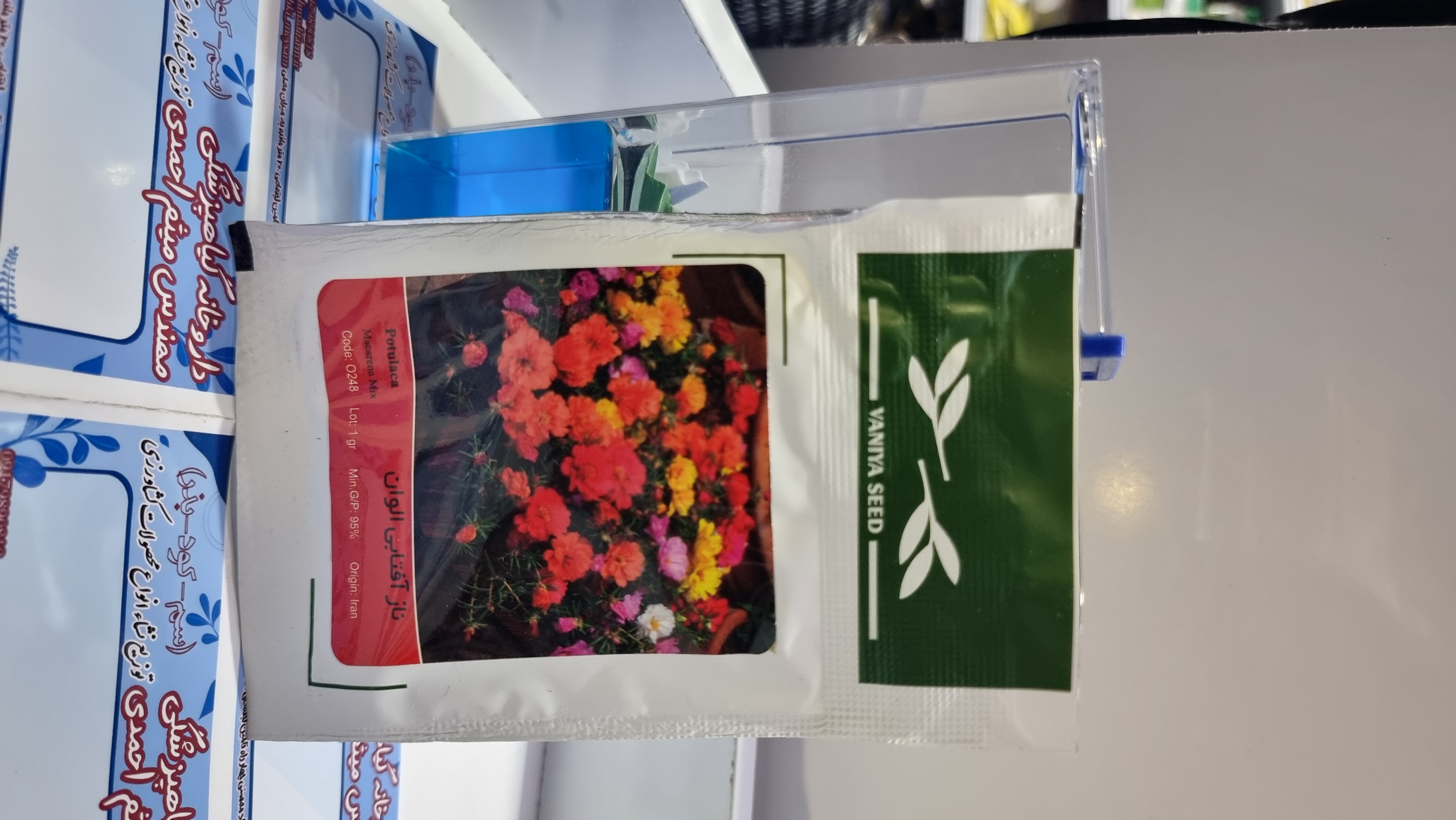 آفتاب گردان پابلند قرمز