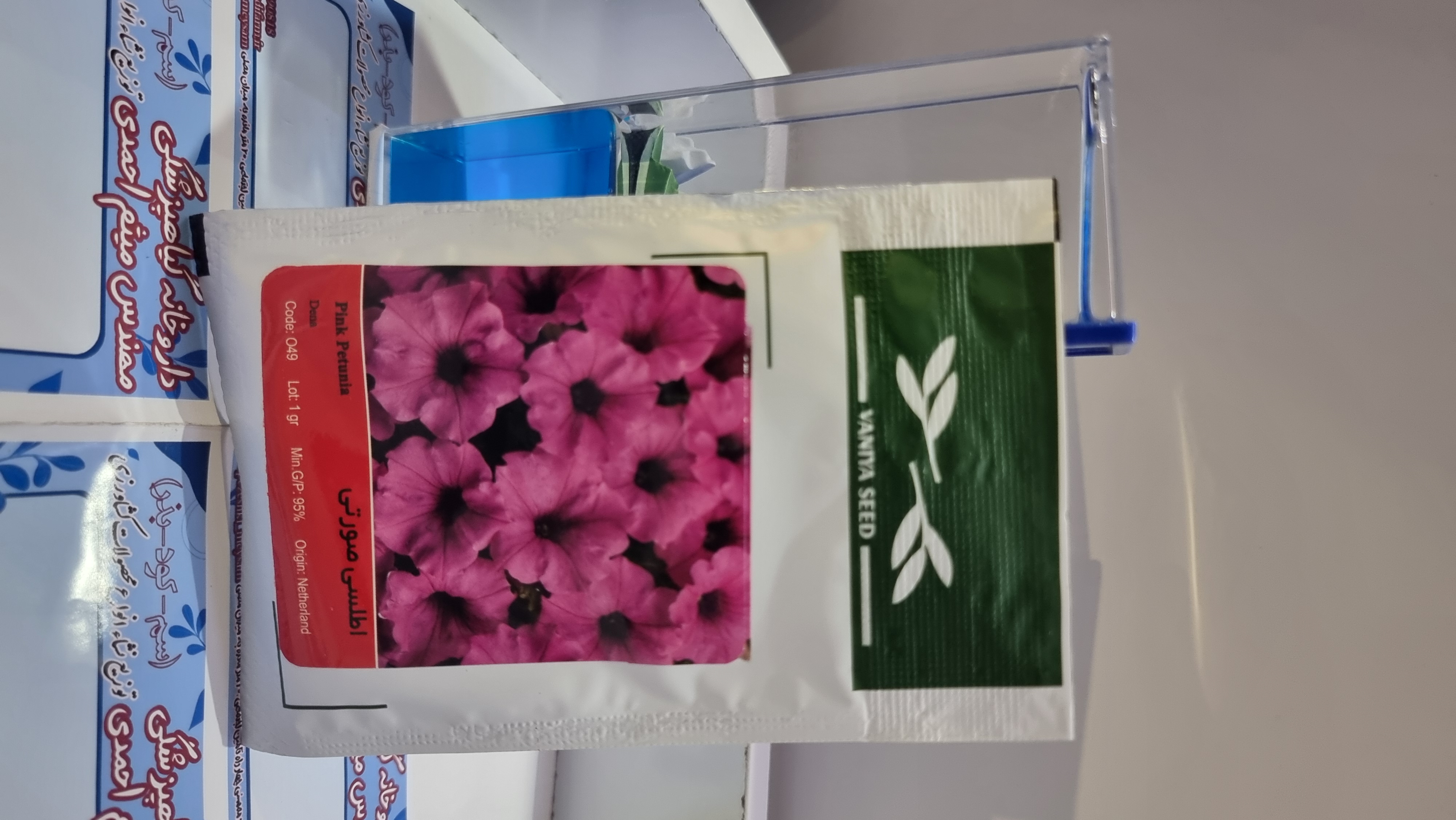 آفتاب گردان پابلند قرمز