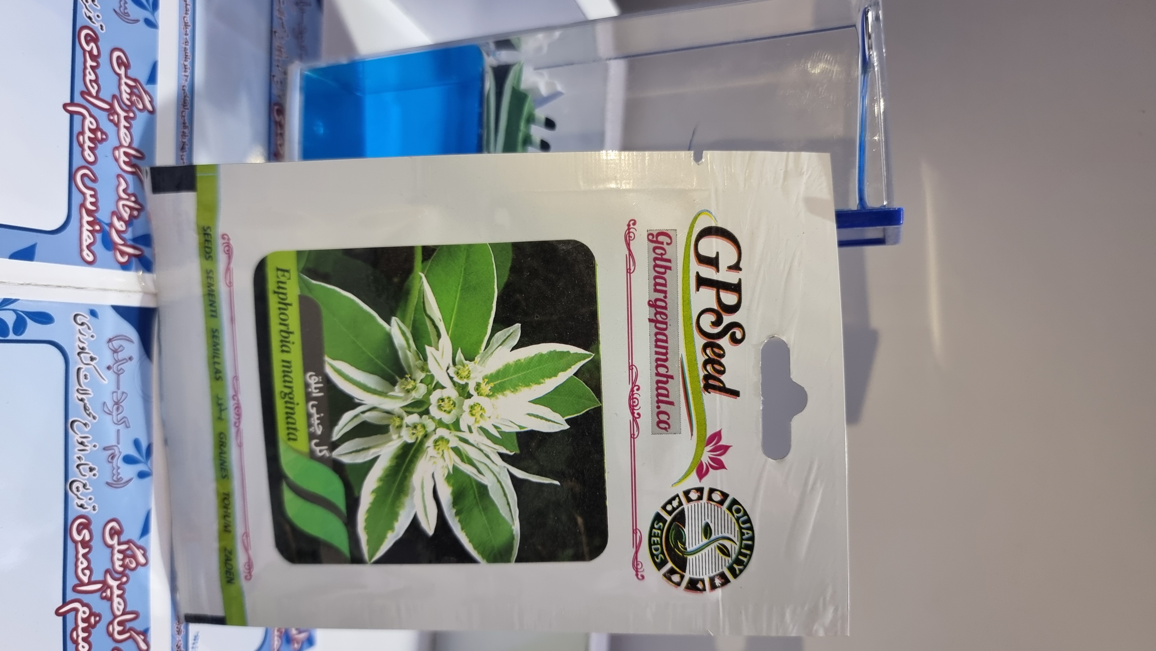 آفتاب گردان پابلند قرمز