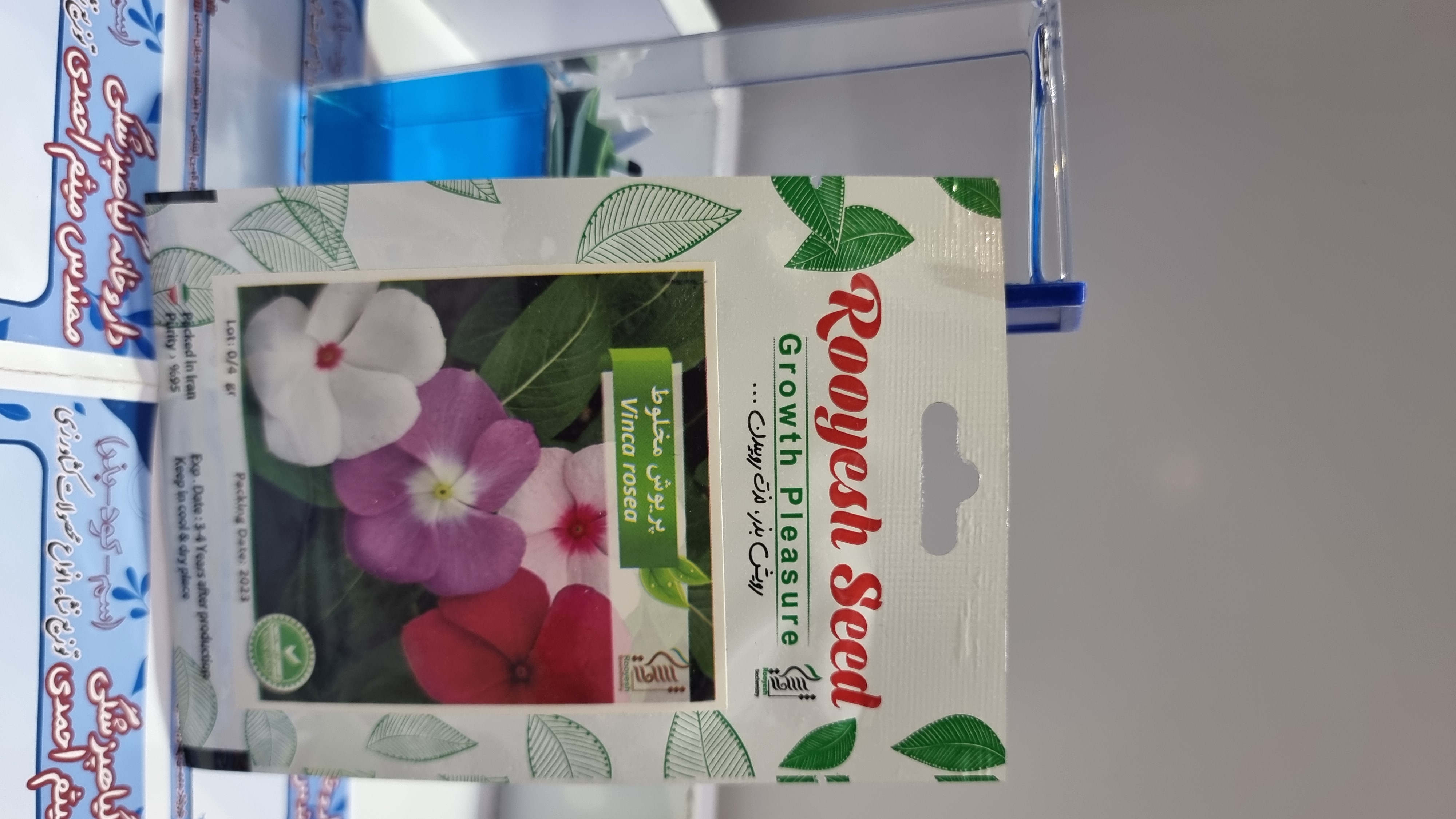 آفتاب گردان پابلند قرمز