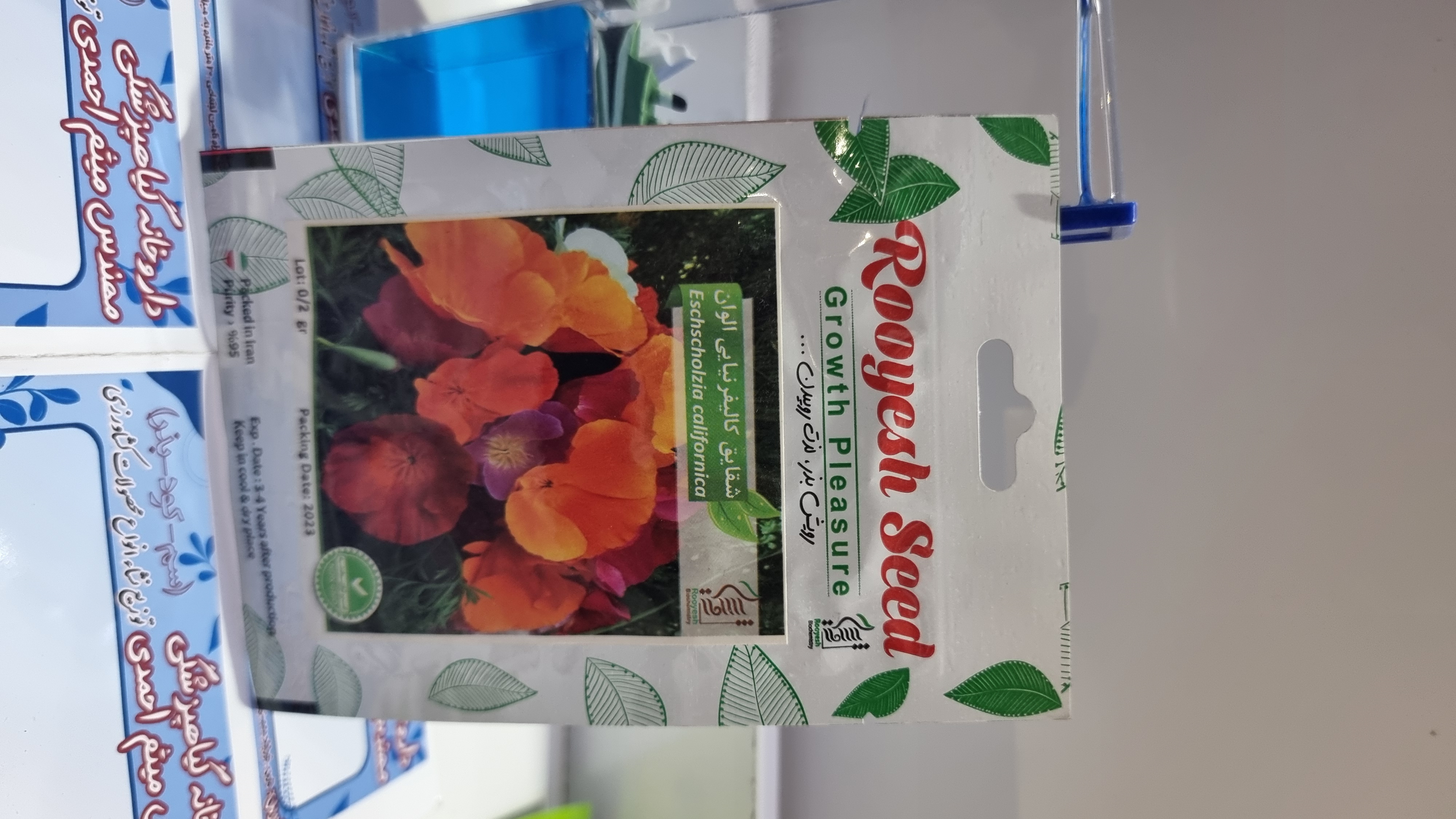 آفتاب گردان پابلند قرمز