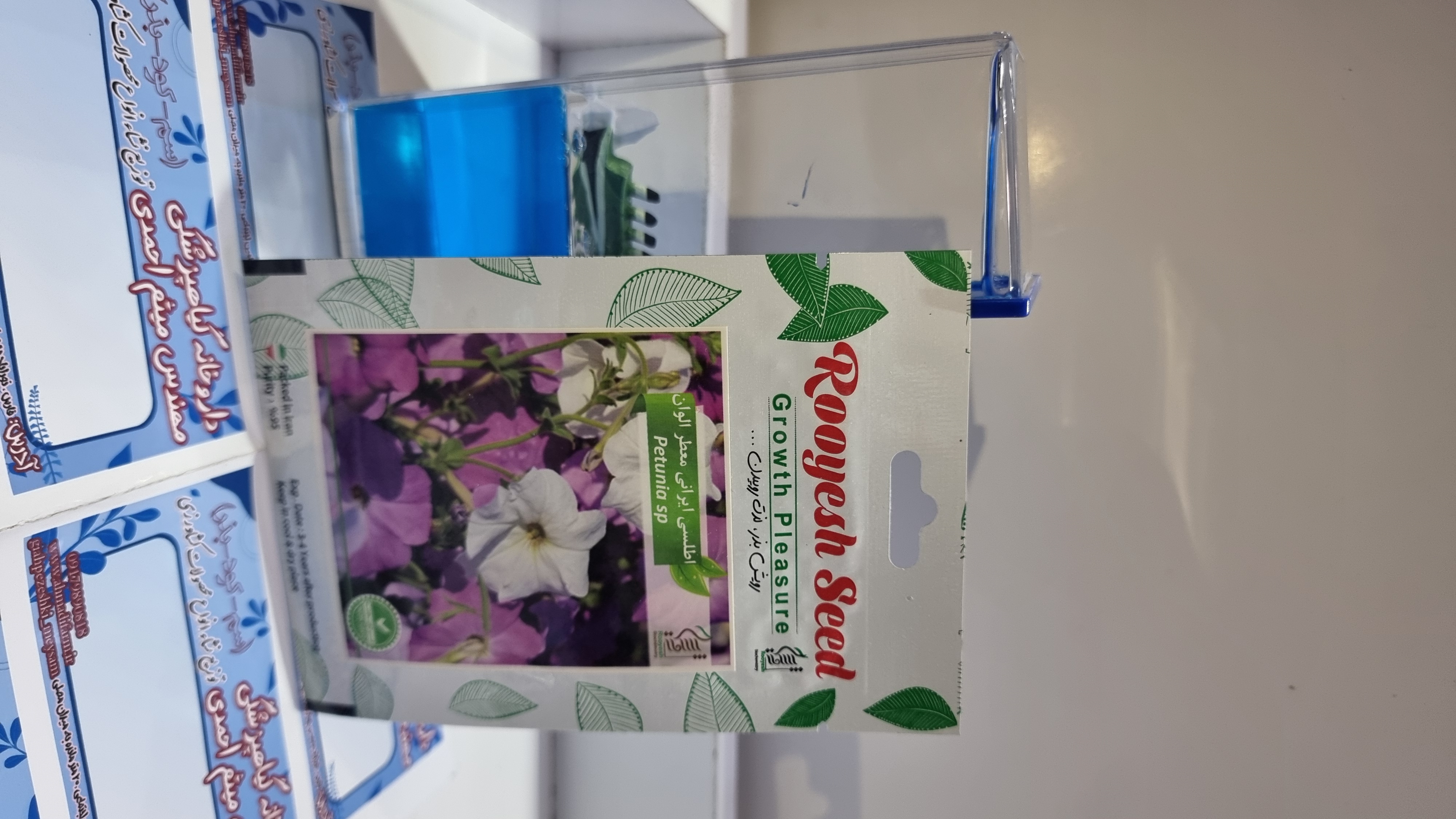 آفتاب گردان پابلند قرمز