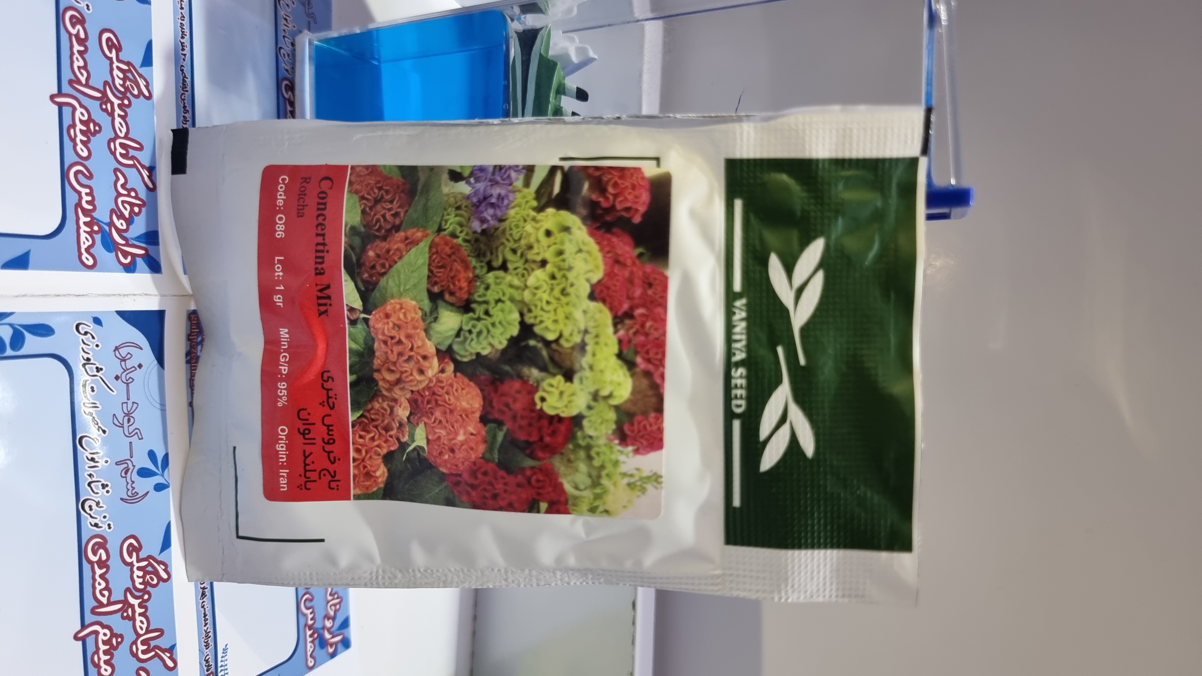 آفتاب گردان پابلند قرمز