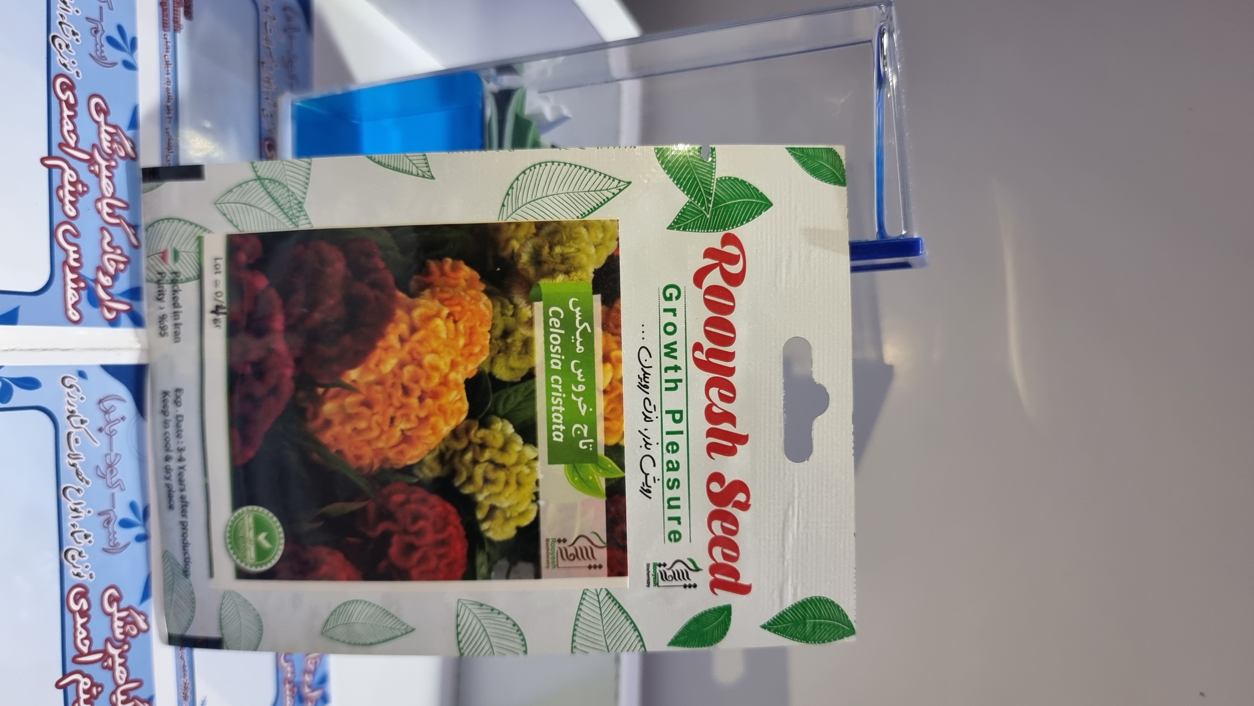 آفتاب گردان پابلند قرمز